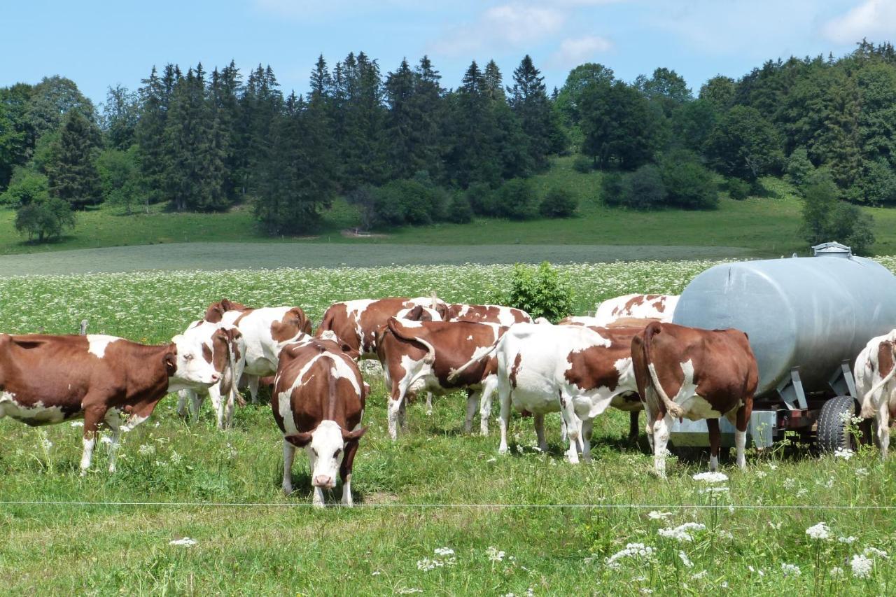 La Grange De Haute-Joux Les Fourgs ภายนอก รูปภาพ
